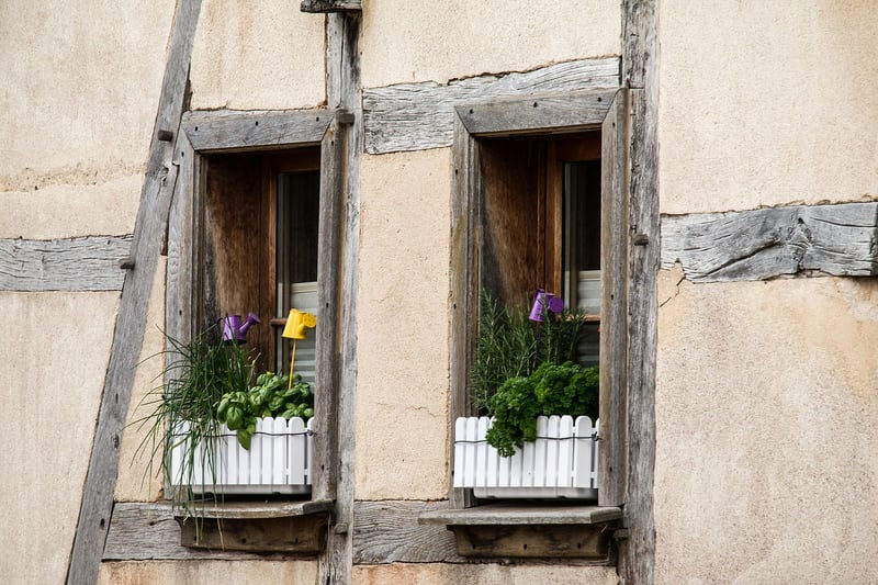 Herb Window Boxes